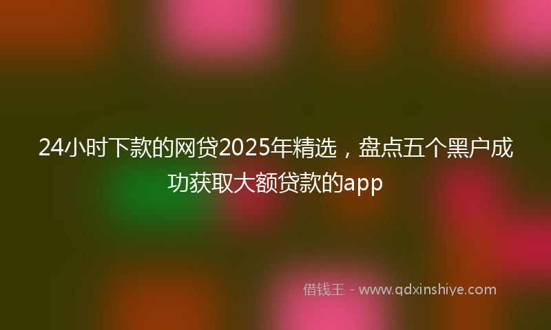 24小时下款的网贷2025年精选，盘点五个黑户成功获取大额贷款的app
