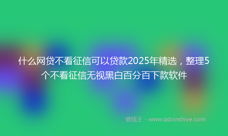 什么网贷不看征信可以贷款2025年精选，整理5个不看征信无视黑白百分百下款软件