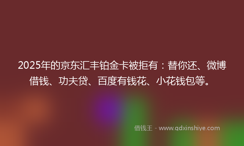 2025年的京东汇丰铂金卡被拒有：替你还、微博借钱、功夫贷、百度有钱花、小花钱包等。