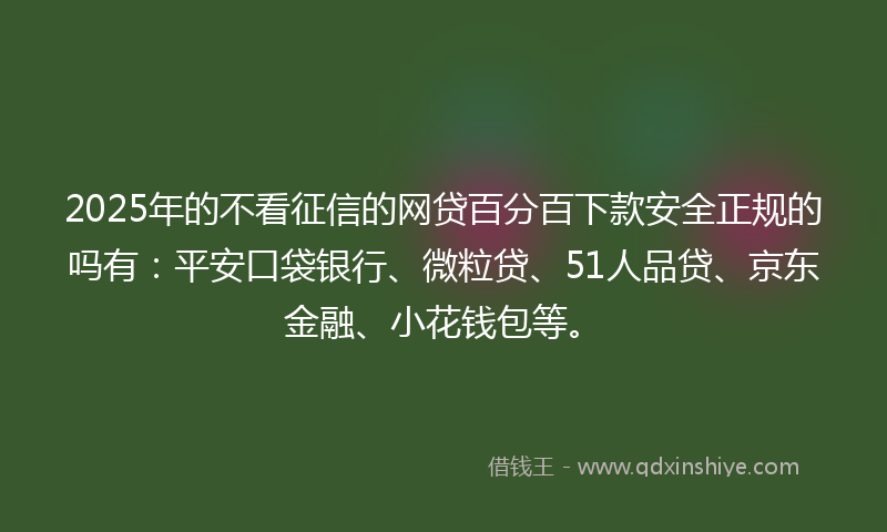 2025年的不看征信的网贷百分百下款安全正规的吗有：平安口袋银行、微粒贷、51人品贷、京东金融、小花钱包等。