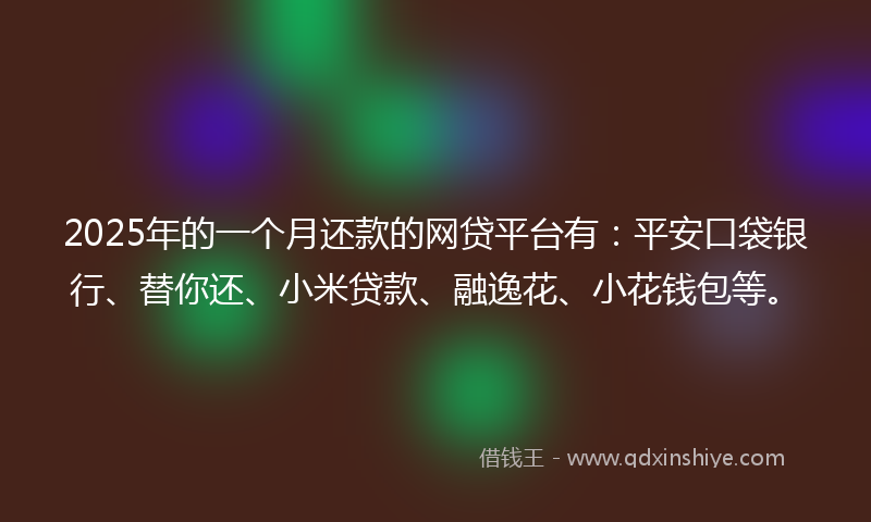2025年的一个月还款的网贷平台有：平安口袋银行、替你还、小米贷款、融逸花、小花钱包等。