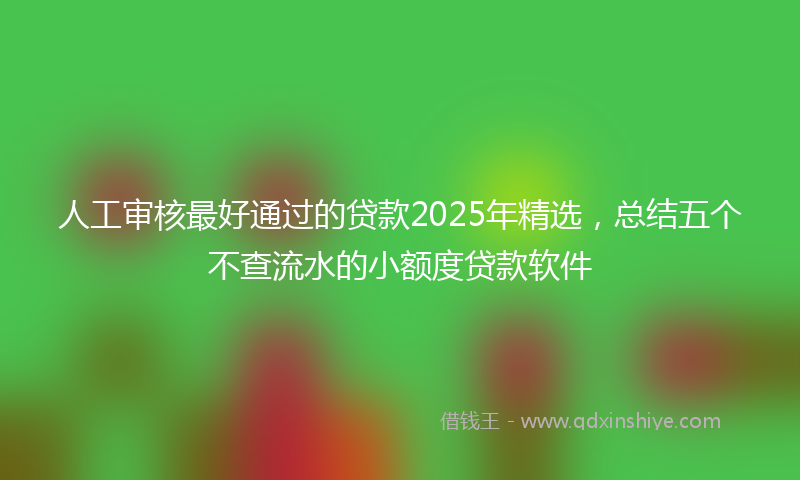 人工审核最好通过的贷款2025年精选，总结五个不查流水的小额度贷款软件