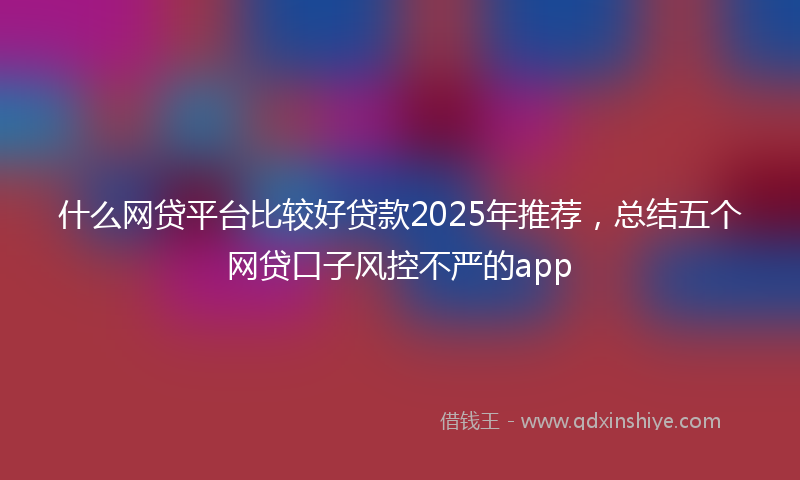 什么网贷平台比较好贷款2025年推荐，总结五个网贷口子风控不严的app