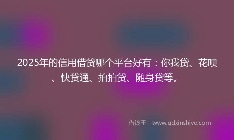 2025年的信用借贷哪个平台好有：你我贷、花呗、快贷通、拍拍贷、随身贷等。