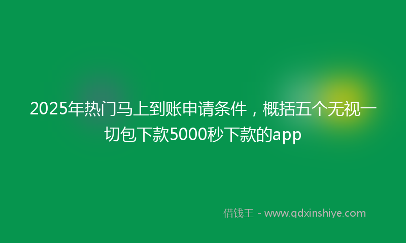2025年热门马上到账申请条件，概括五个无视一切包下款5000秒下款的app
