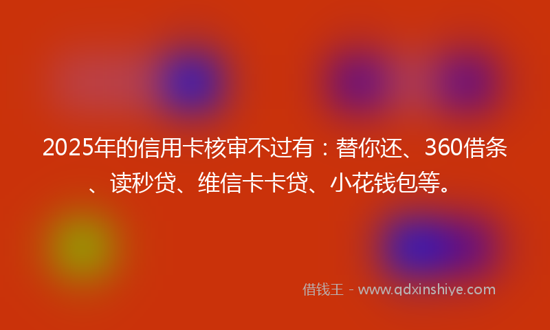 2025年的信用卡核审不过有：替你还、360借条、读秒贷、维信卡卡贷、小花钱包等。
