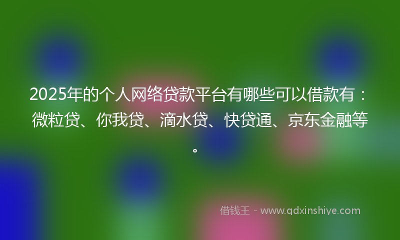 2025年的个人网络贷款平台有哪些可以借款有：微粒贷、你我贷、滴水贷、快贷通、京东金融等。