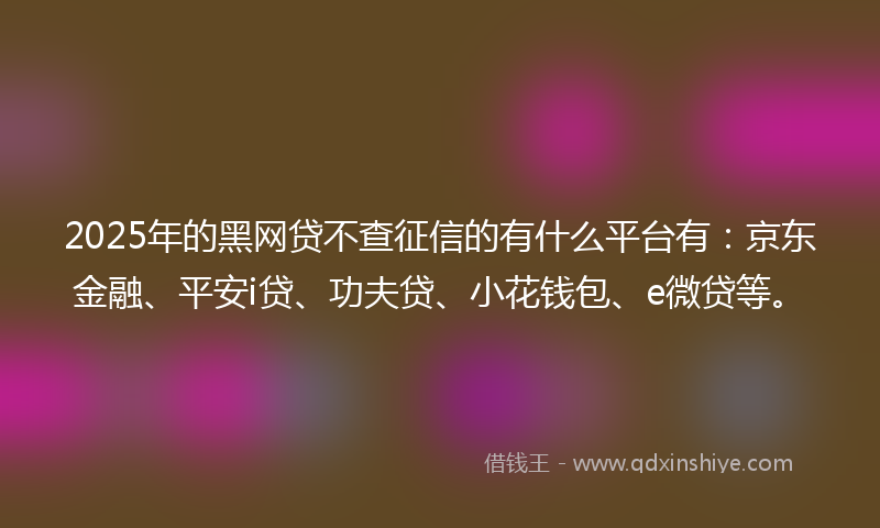 2025年的黑网贷不查征信的有什么平台有：京东金融、平安i贷、功夫贷、小花钱包、e微贷等。