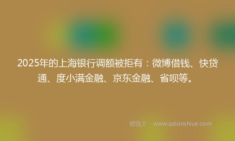 2025年的上海银行调额被拒有：微博借钱、快贷通、度小满金融、京东金融、省呗等。