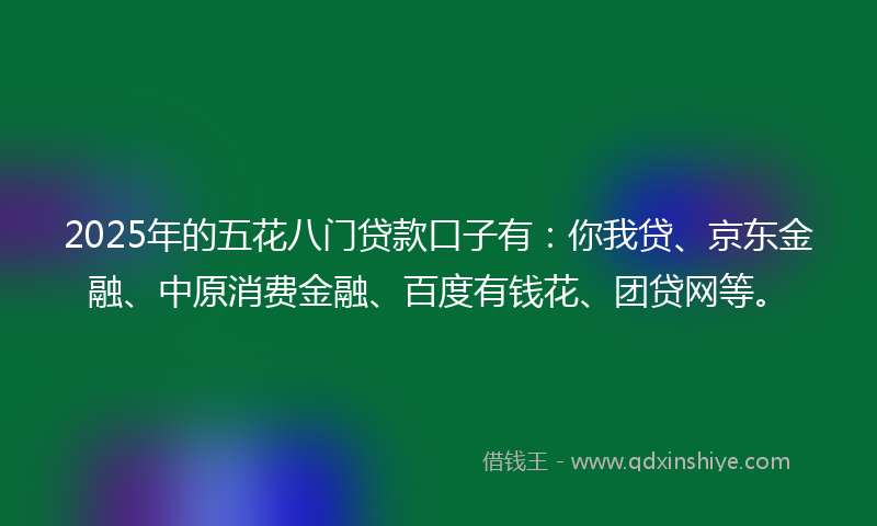 2025年的五花八门贷款口子有：你我贷、京东金融、中原消费金融、百度有钱花、团贷网等。