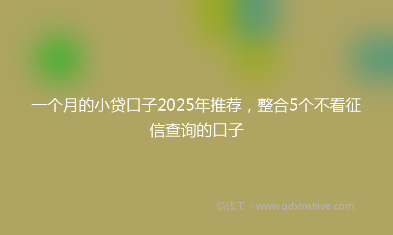 一个月的小贷口子2025年推荐，整合5个不看征信查询的口子