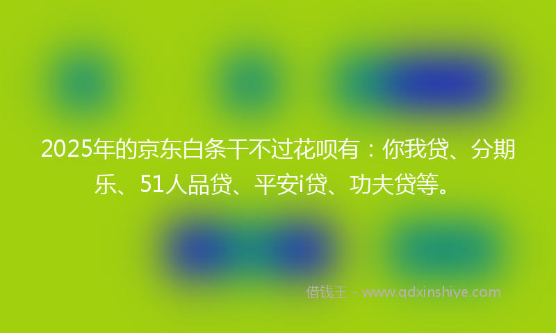 2025年的京东白条干不过花呗有：你我贷、分期乐、51人品贷、平安i贷、功夫贷等。