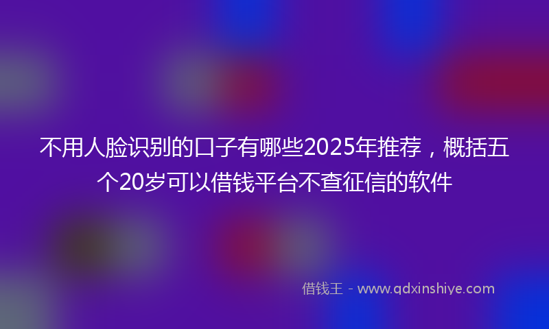 不用人脸识别的口子有哪些2025年推荐，概括五个20岁可以借钱平台不查征信的软件