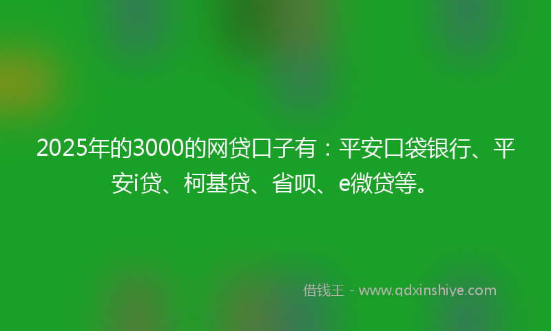 2025年的3000的网贷口子有：平安口袋银行、平安i贷、柯基贷、省呗、e微贷等。