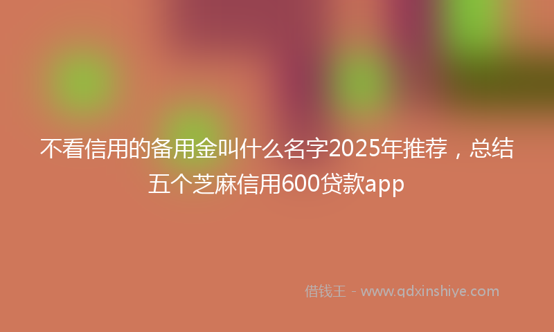 不看信用的备用金叫什么名字2025年推荐，总结五个芝麻信用600贷款app