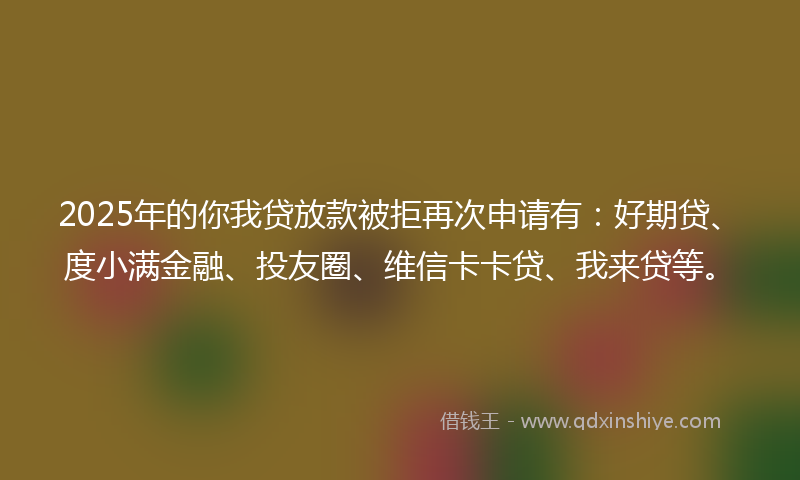 2025年的你我贷放款被拒再次申请有：好期贷、度小满金融、投友圈、维信卡卡贷、我来贷等。