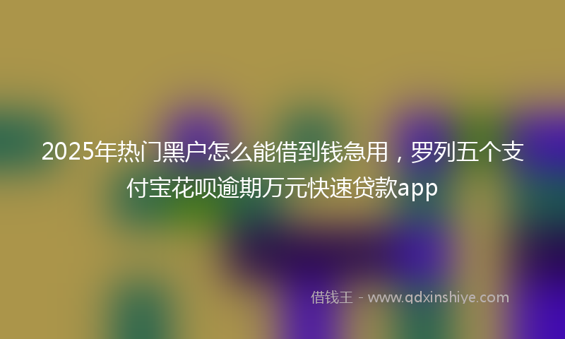 2025年热门黑户怎么能借到钱急用，罗列五个支付宝花呗逾期万元快速贷款app
