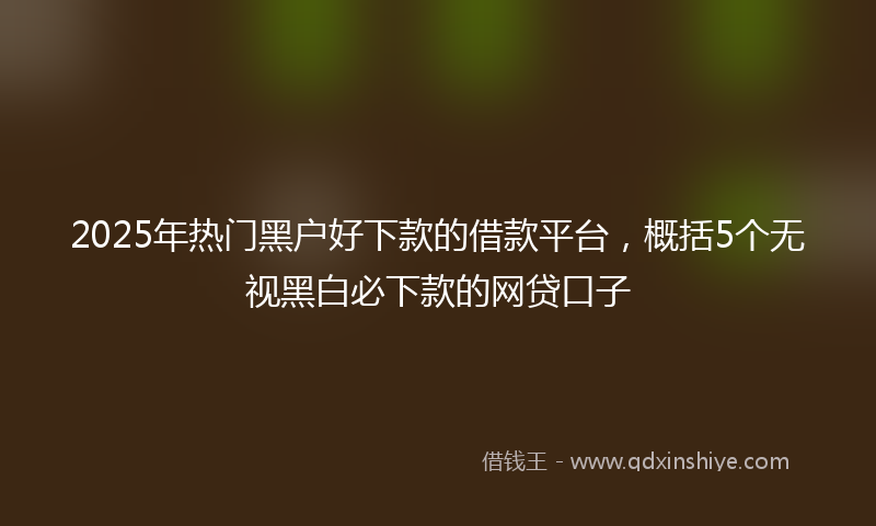 2025年热门黑户好下款的借款平台，概括5个无视黑白必下款的网贷口子