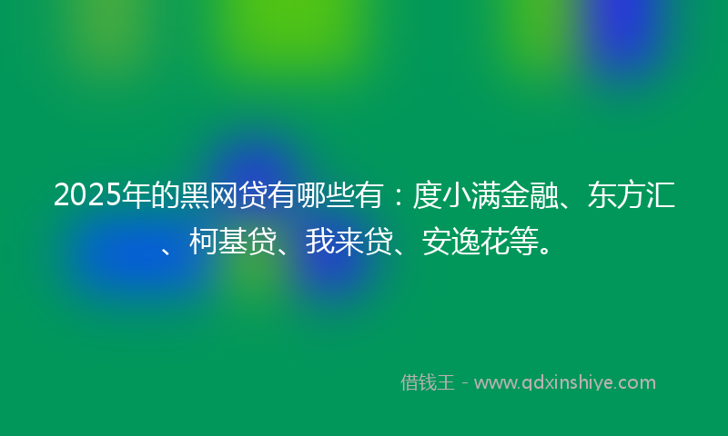 2025年的黑网贷有哪些有：度小满金融、东方汇、柯基贷、我来贷、安逸花等。