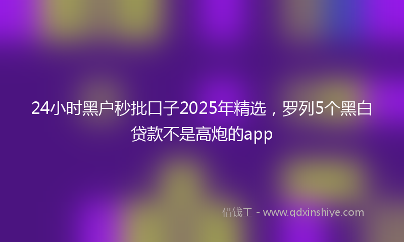 24小时黑户秒批口子2025年精选，罗列5个黑白贷款不是高炮的app
