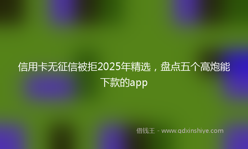 信用卡无征信被拒2025年精选，盘点五个高炮能下款的app