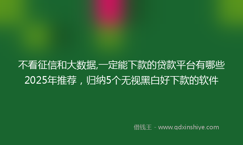 不看征信和大数据,一定能下款的贷款平台有哪些2025年推荐，归纳5个无视黑白好下款的软件