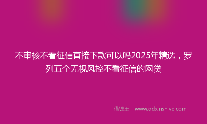 不审核不看征信直接下款可以吗2025年精选，罗列五个无视风控不看征信的网贷