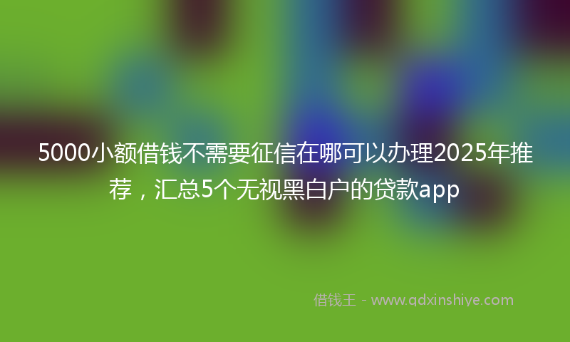 5000小额借钱不需要征信在哪可以办理2025年推荐，汇总5个无视黑白户的贷款app