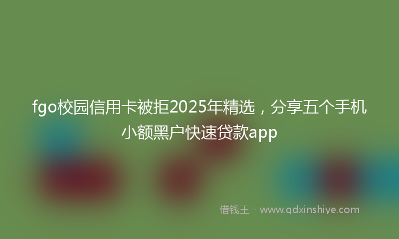 fgo校园信用卡被拒2025年精选，分享五个手机小额黑户快速贷款app