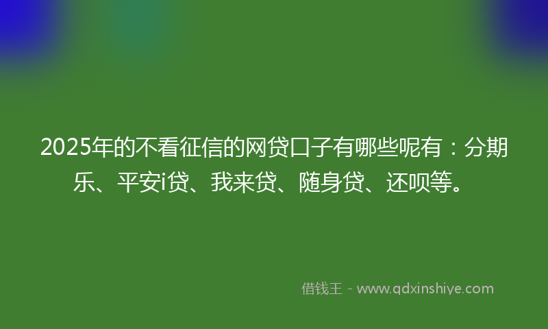 2025年的不看征信的网贷口子有哪些呢有：分期乐、平安i贷、我来贷、随身贷、还呗等。