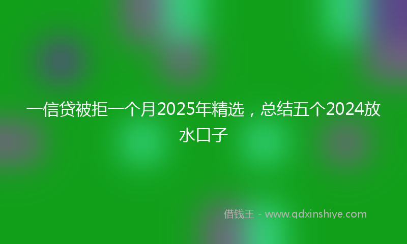 一信贷被拒一个月2025年精选，总结五个2024放水口子