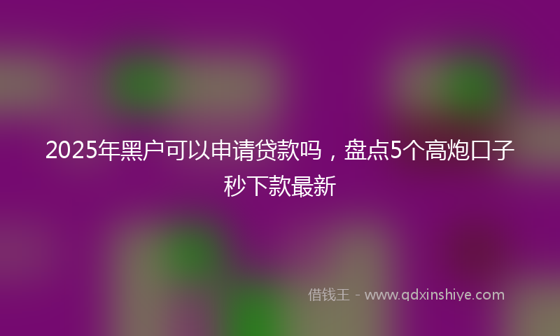 2025年黑户可以申请贷款吗，盘点5个高炮口子秒下款最新
