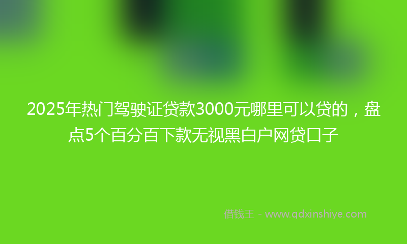 2025年热门驾驶证贷款3000元哪里可以贷的，盘点5个百分百下款无视黑白户网贷口子
