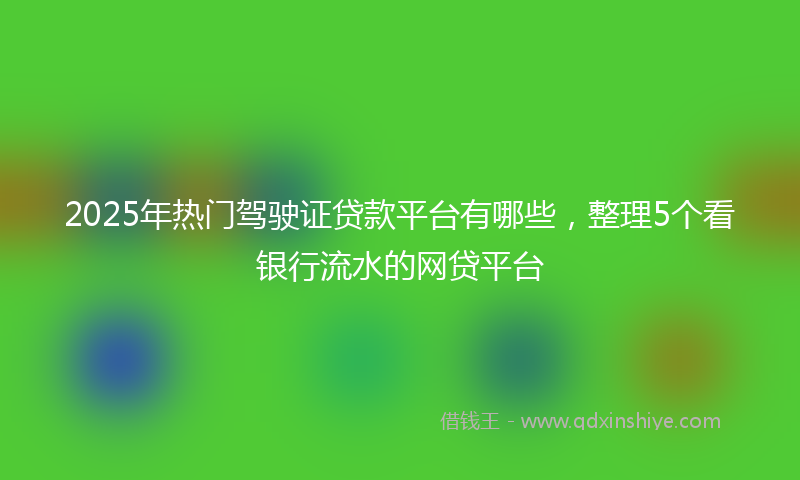 2025年热门驾驶证贷款平台有哪些，整理5个看银行流水的网贷平台