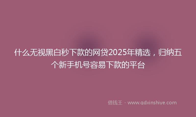 什么无视黑白秒下款的网贷2025年精选，归纳五个新手机号容易下款的平台