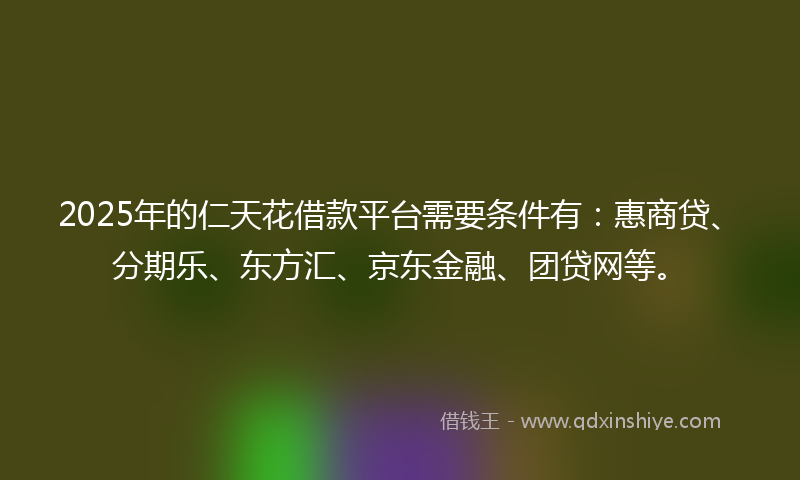 2025年的仁天花借款平台需要条件有：惠商贷、分期乐、东方汇、京东金融、团贷网等。