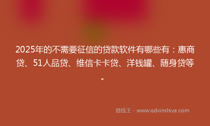 2025年的不需要征信的贷款软件有哪些有：惠商贷、51人品贷、维信卡卡贷、洋钱罐、随身贷等。