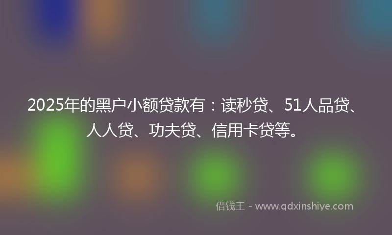 2025年的黑户小额贷款有：读秒贷、51人品贷、人人贷、功夫贷、信用卡贷等。