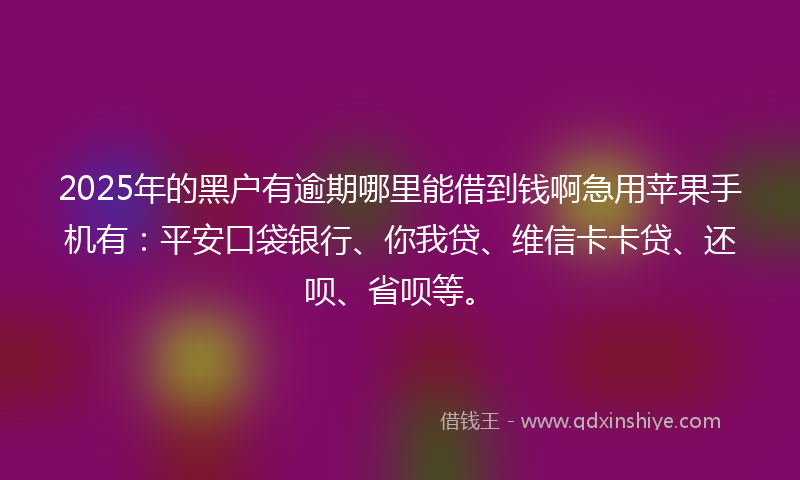 2025年的黑户有逾期哪里能借到钱啊急用苹果手机有：平安口袋银行、你我贷、维信卡卡贷、还呗、省呗等。