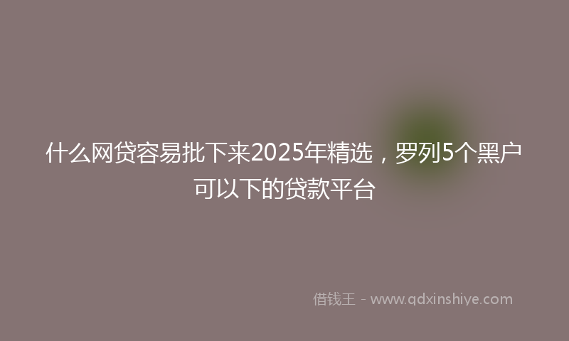 什么网贷容易批下来2025年精选，罗列5个黑户可以下的贷款平台