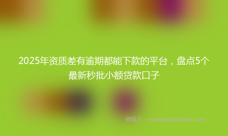 2025年资质差有逾期都能下款的平台，盘点5个最新秒批小额贷款口子
