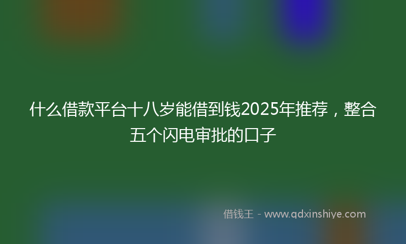 什么借款平台十八岁能借到钱2025年推荐，整合五个闪电审批的口子