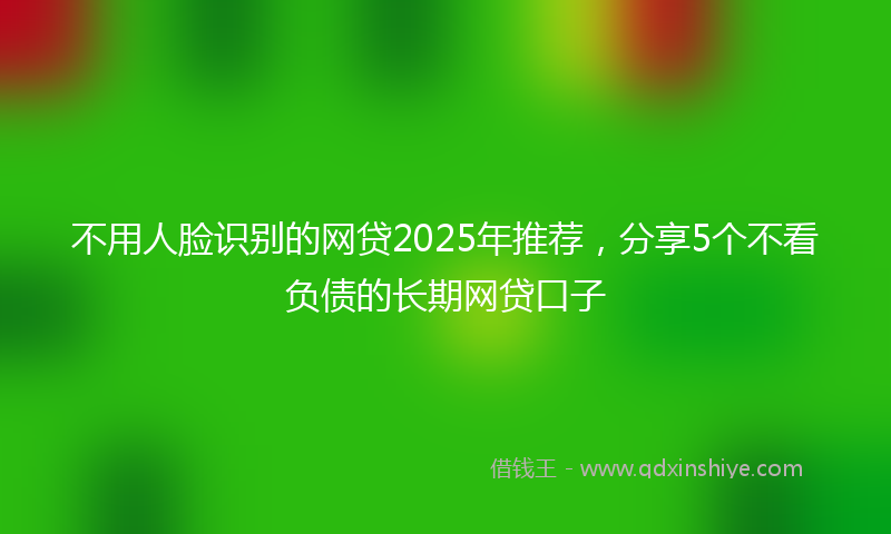 不用人脸识别的网贷2025年推荐，分享5个不看负债的长期网贷口子