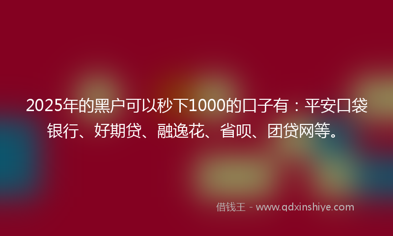 2025年的黑户可以秒下1000的口子有：平安口袋银行、好期贷、融逸花、省呗、团贷网等。