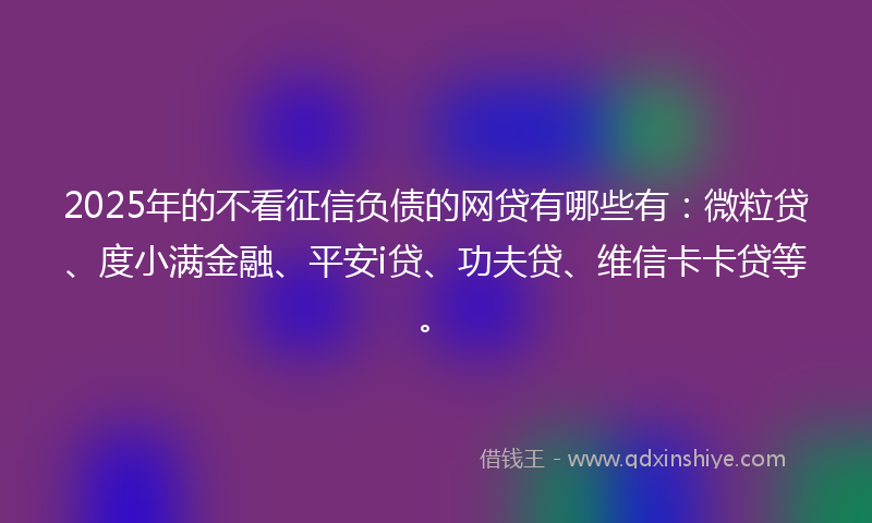 2025年的不看征信负债的网贷有哪些有：微粒贷、度小满金融、平安i贷、功夫贷、维信卡卡贷等。