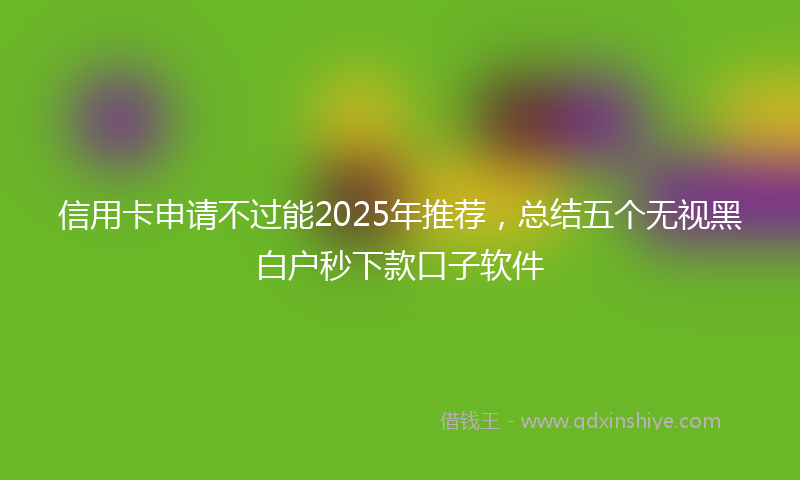 信用卡申请不过能2025年推荐,总结五个无视黑白户秒下款口子软件
