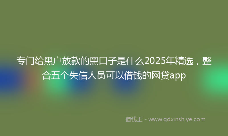 专门给黑户放款的黑口子是什么2025年精选，整合五个失信人员可以借钱的网贷app