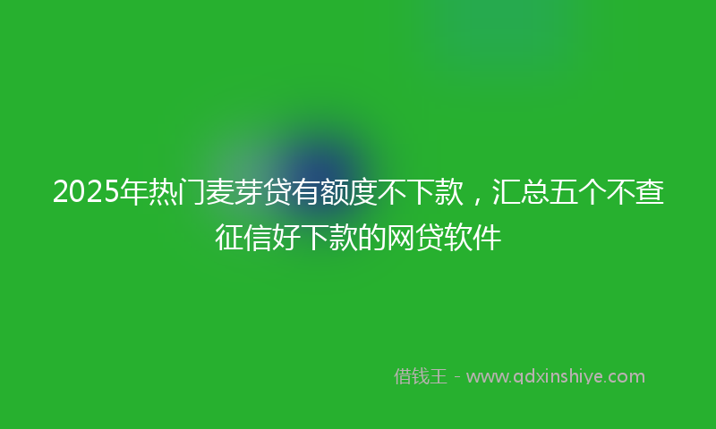 2025年热门麦芽贷有额度不下款，汇总五个不查征信好下款的网贷软件