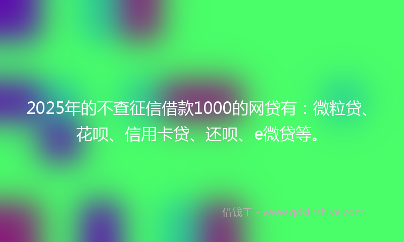 2025年的不查征信借款1000的网贷有：微粒贷、花呗、信用卡贷、还呗、e微贷等。