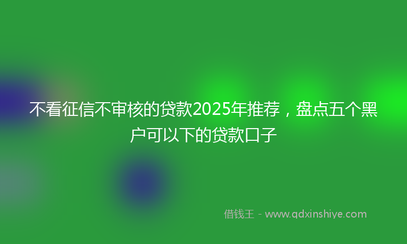 不看征信不审核的贷款2025年推荐，盘点五个黑户可以下的贷款口子